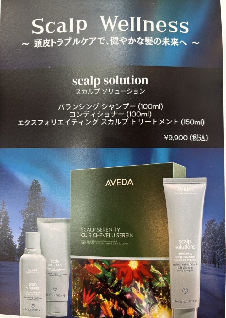 アヴェダホリデーギフト